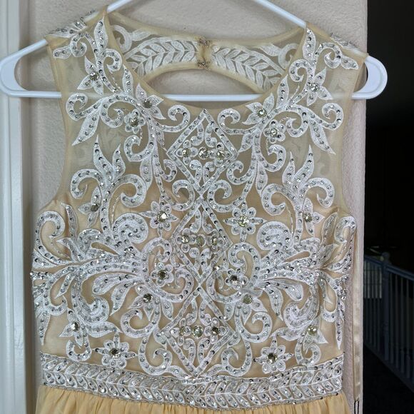 Beaded Long Sleeveless Illusion Dress by Cinderella Divine Maxi Party Dress - Picture 7 of 12